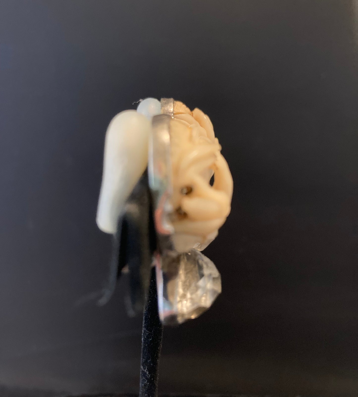 Bone, Crystal