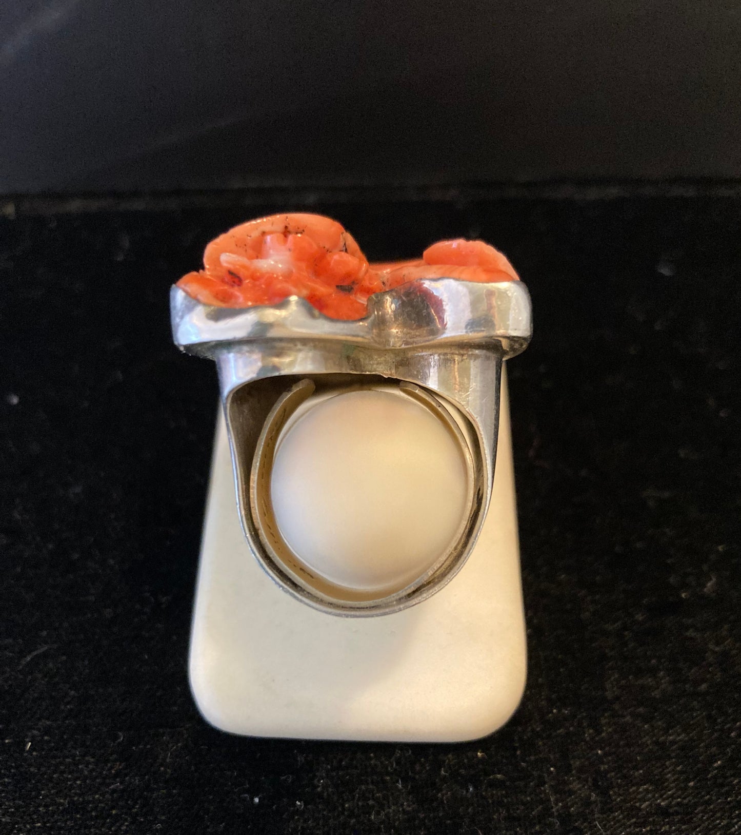 Angel-Skin Coral