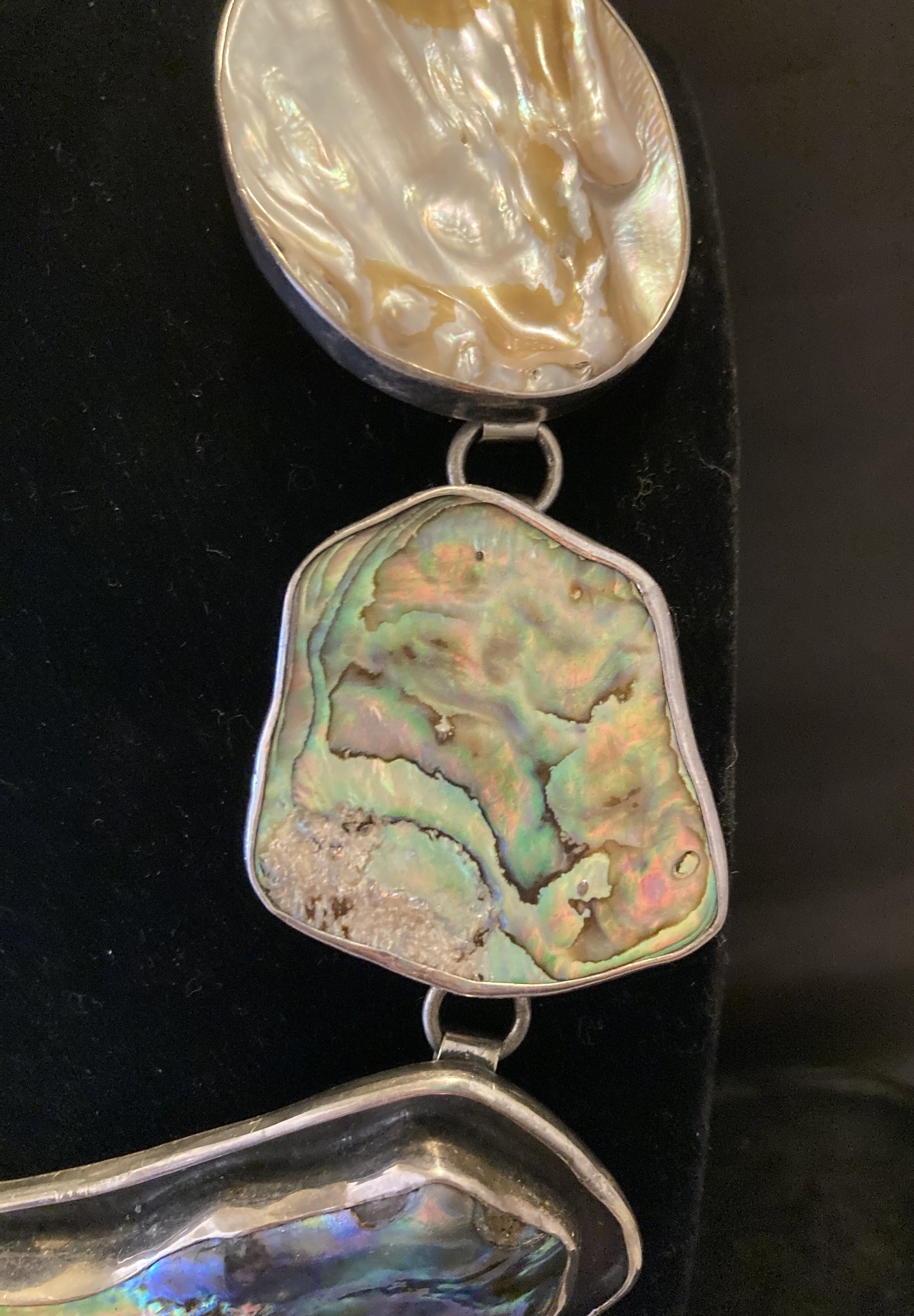 Abalone