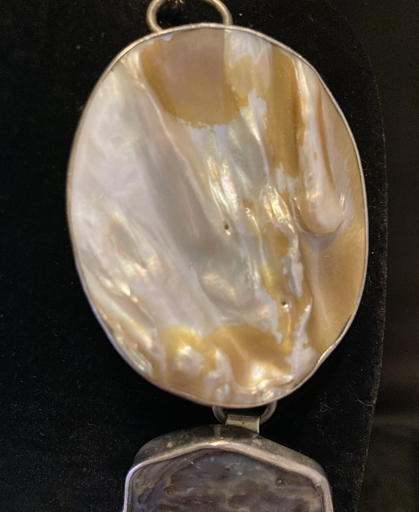 Abalone