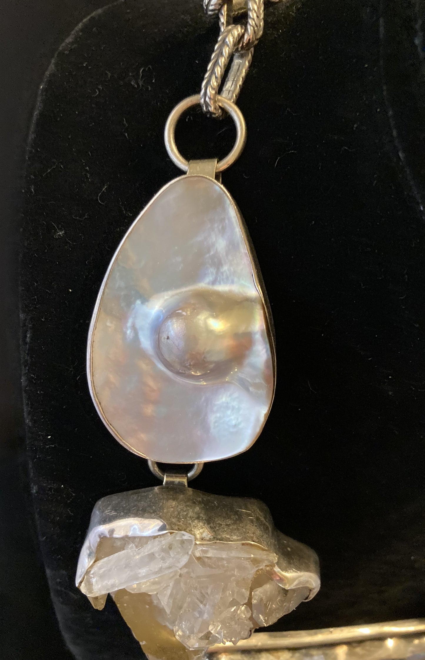 Abalone