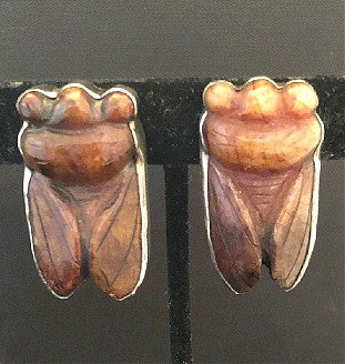 Brown Cicada