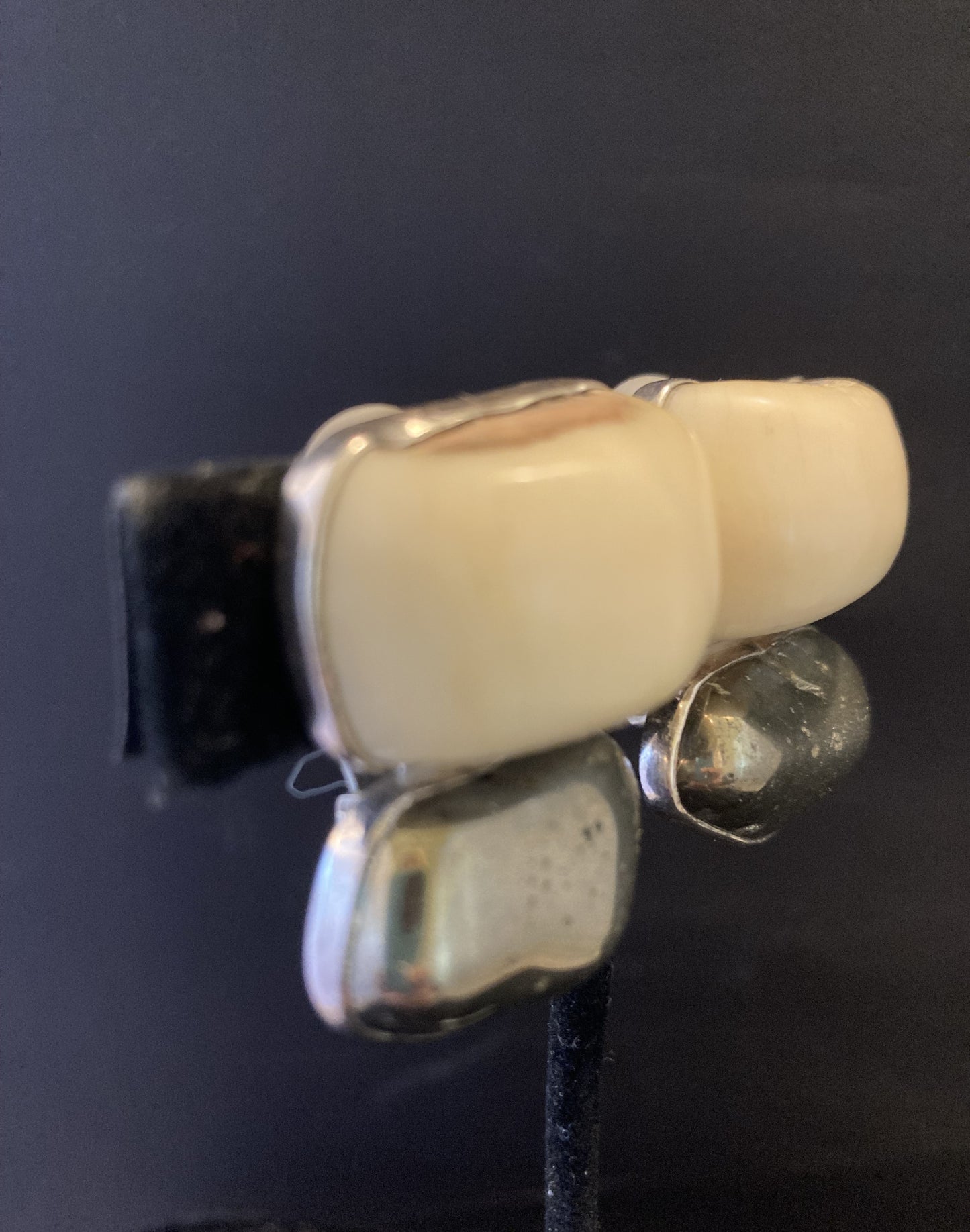 Bone, Pyrite