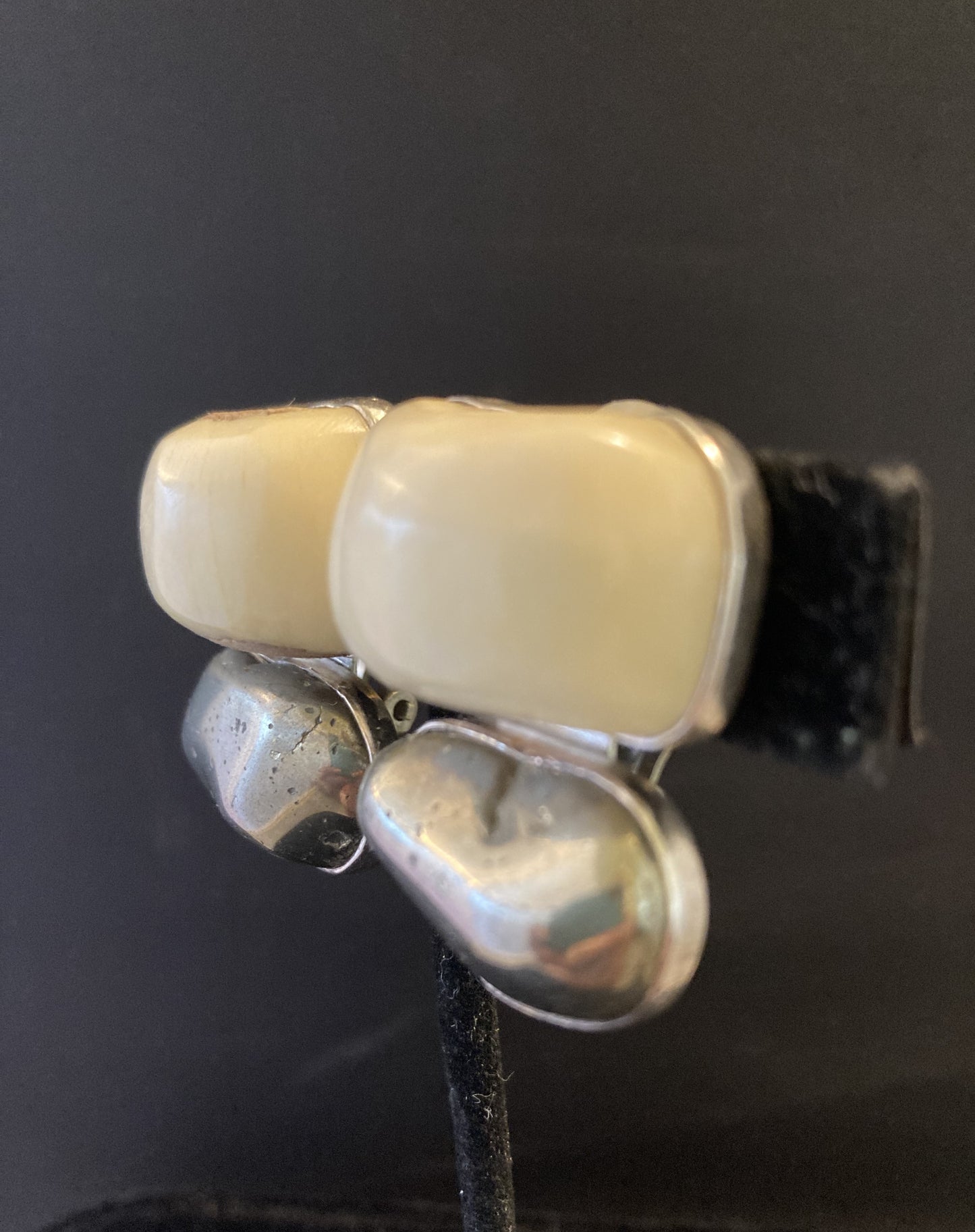 Bone, Pyrite