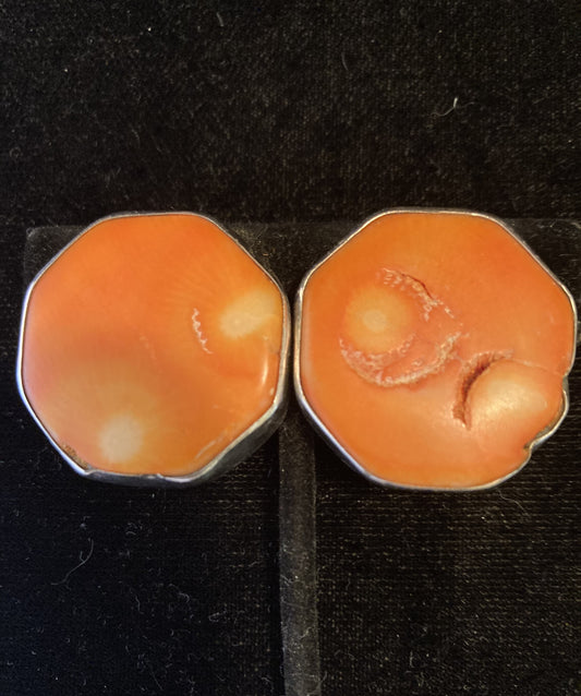 Orange Coral