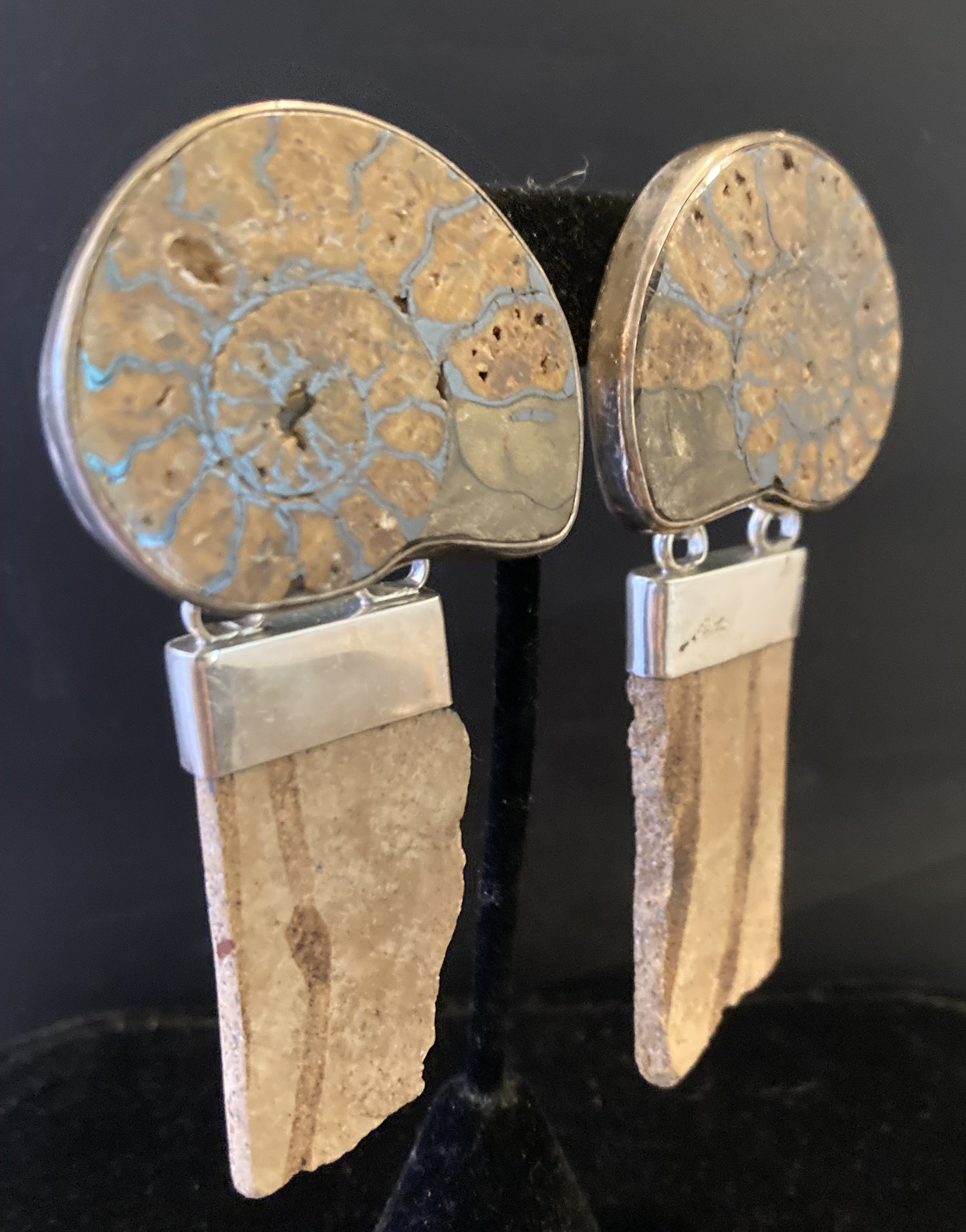 Vintage Ammonite