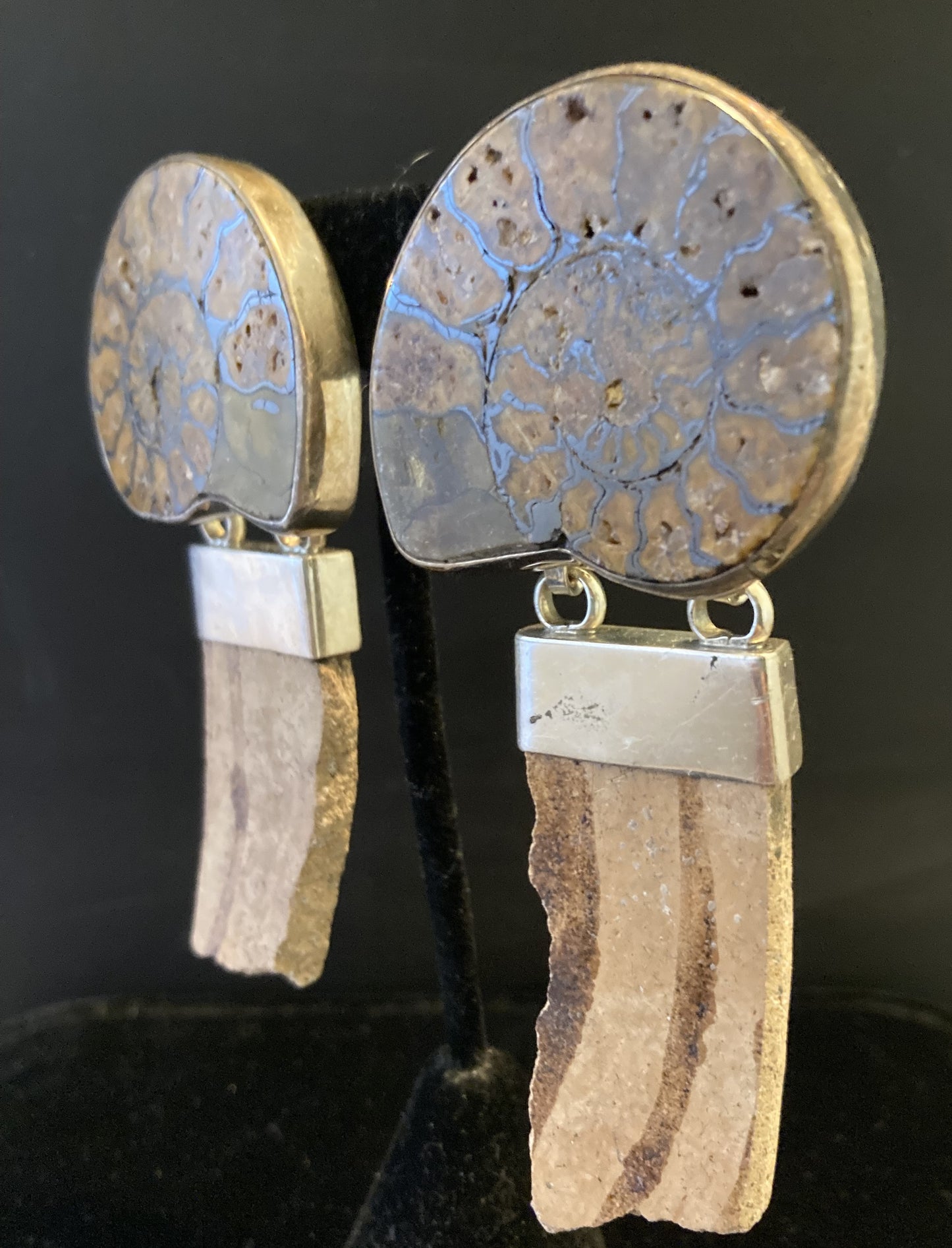 Vintage Ammonite