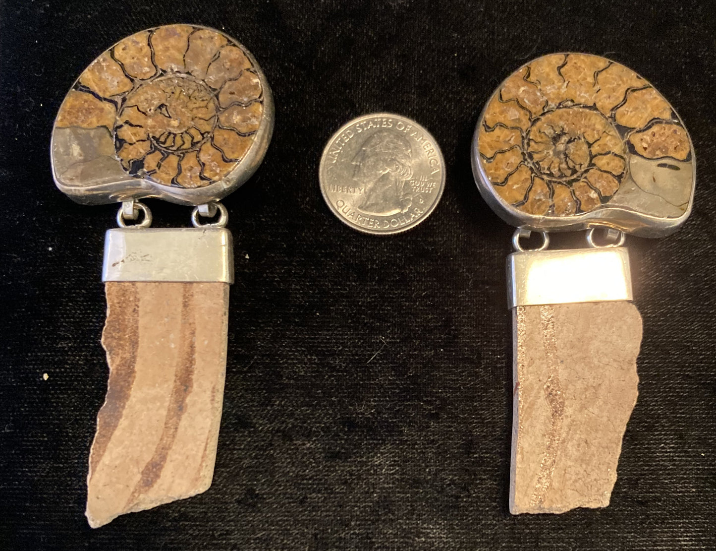 Vintage Ammonite