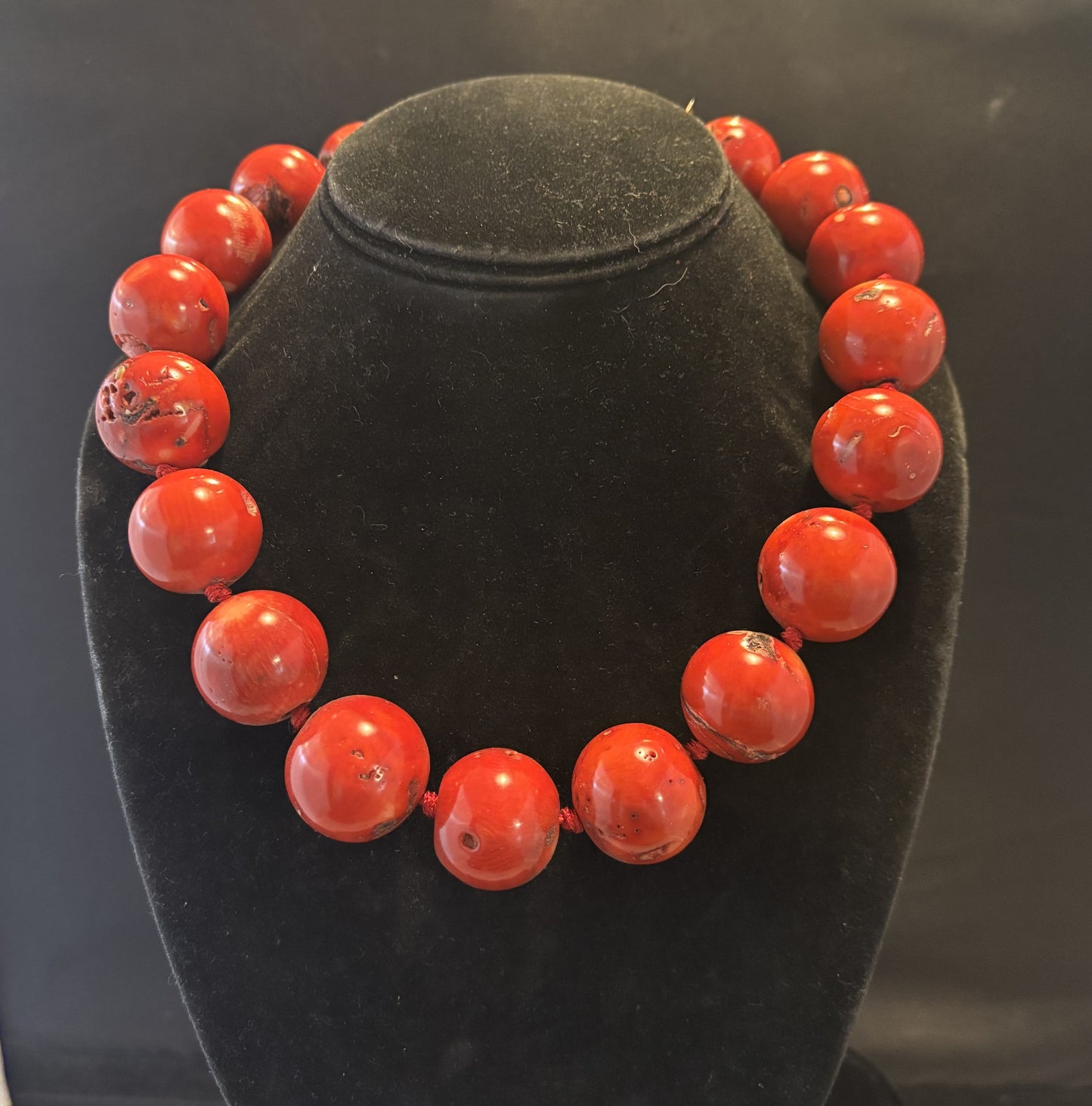 Red Coral