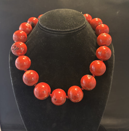 Red Coral