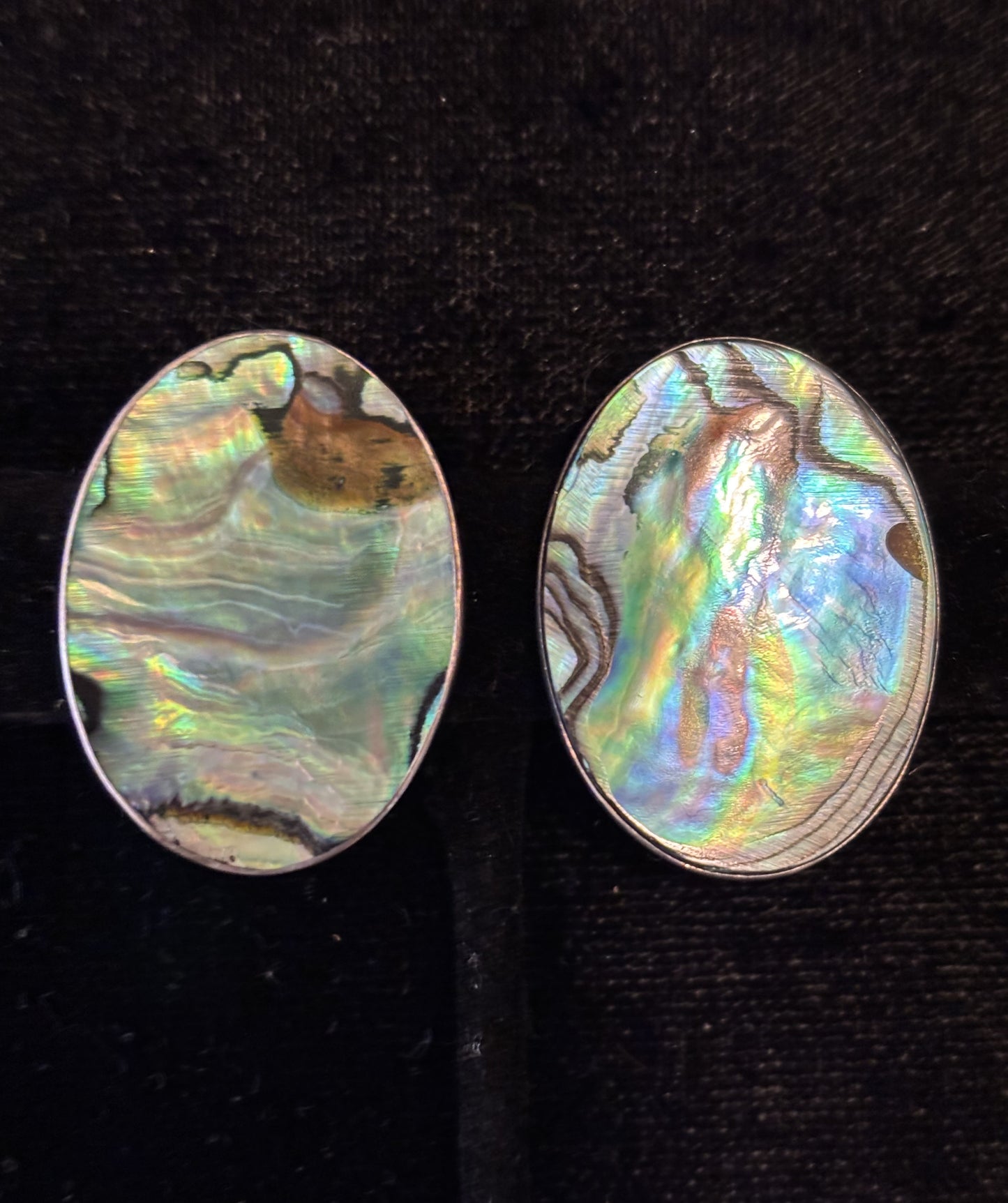 Abalone