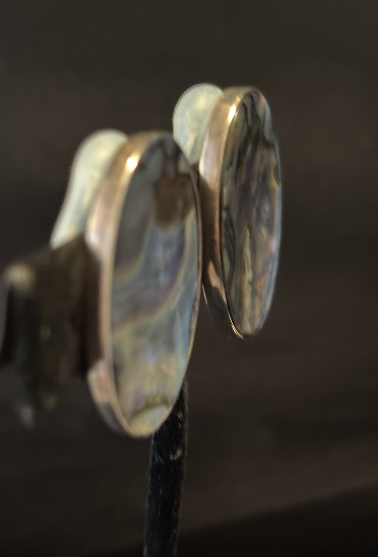 Abalone