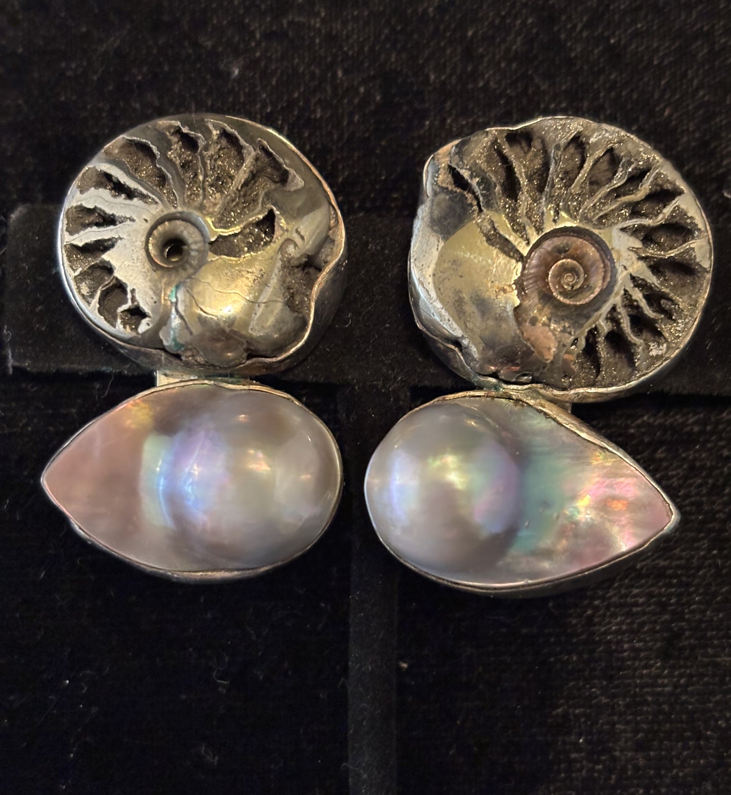 Ammonite, Pearl