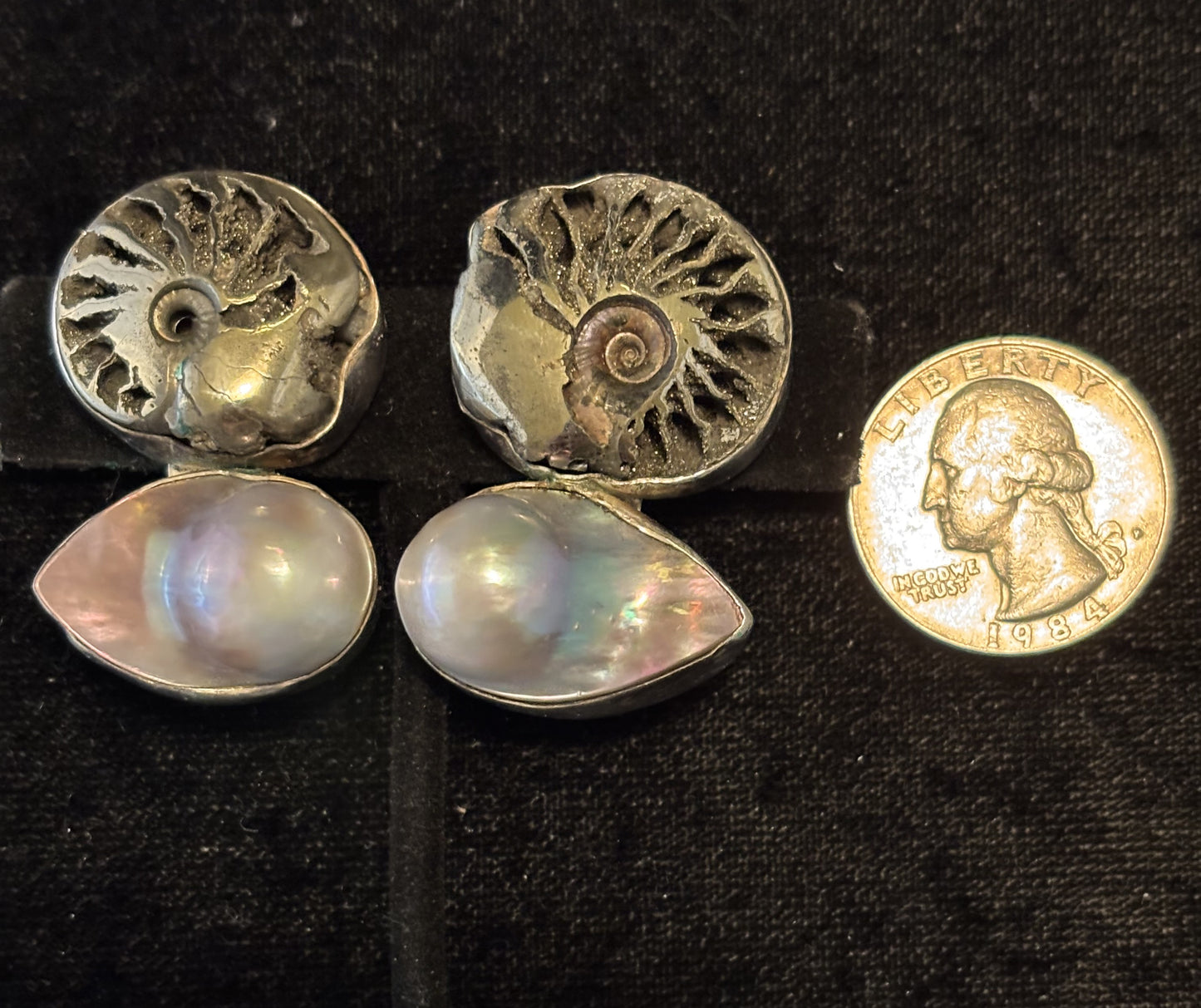 Ammonite, Pearl
