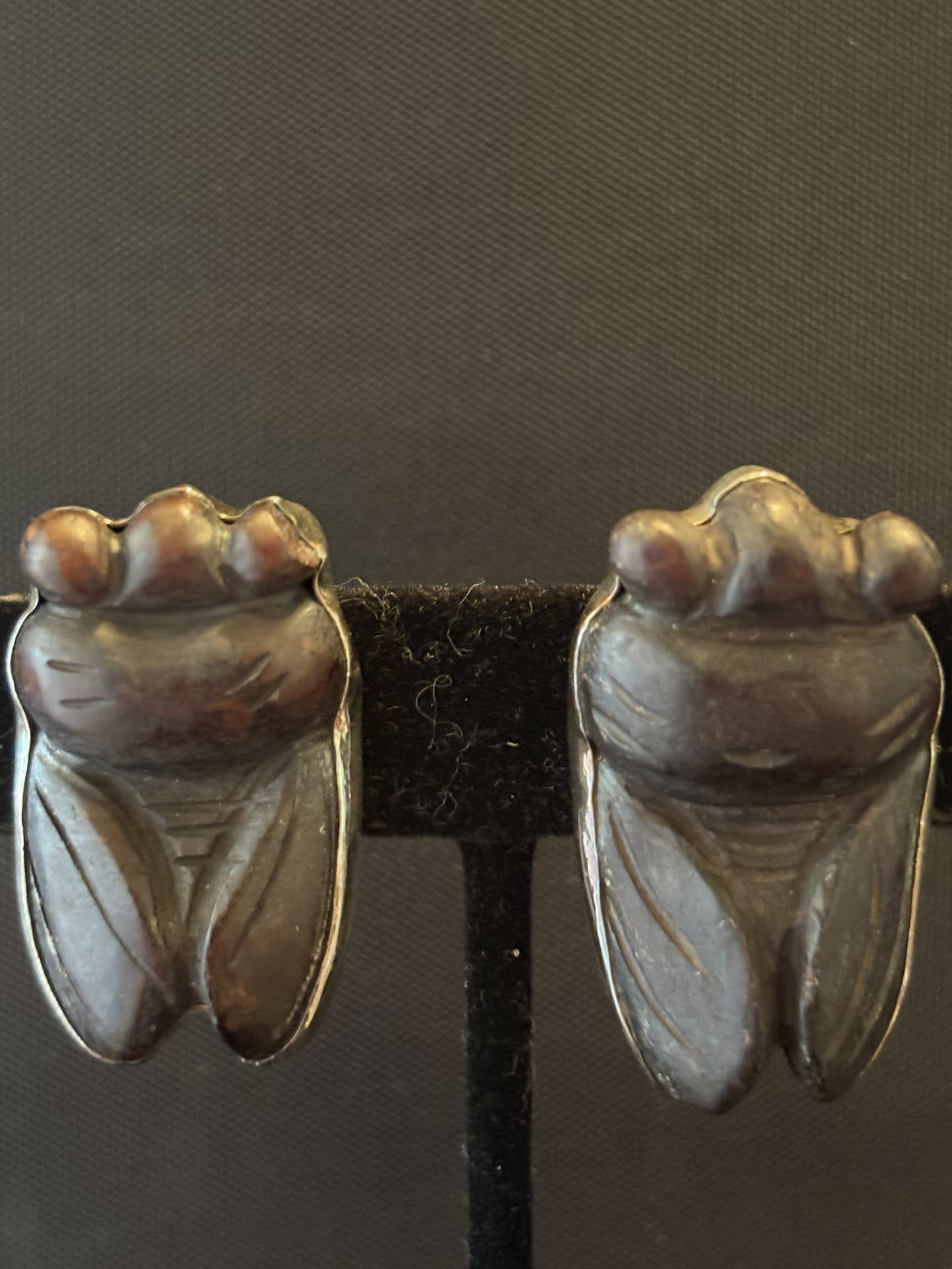 Brown Jade Cicada