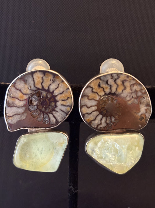 Ammonite, Aquamarine