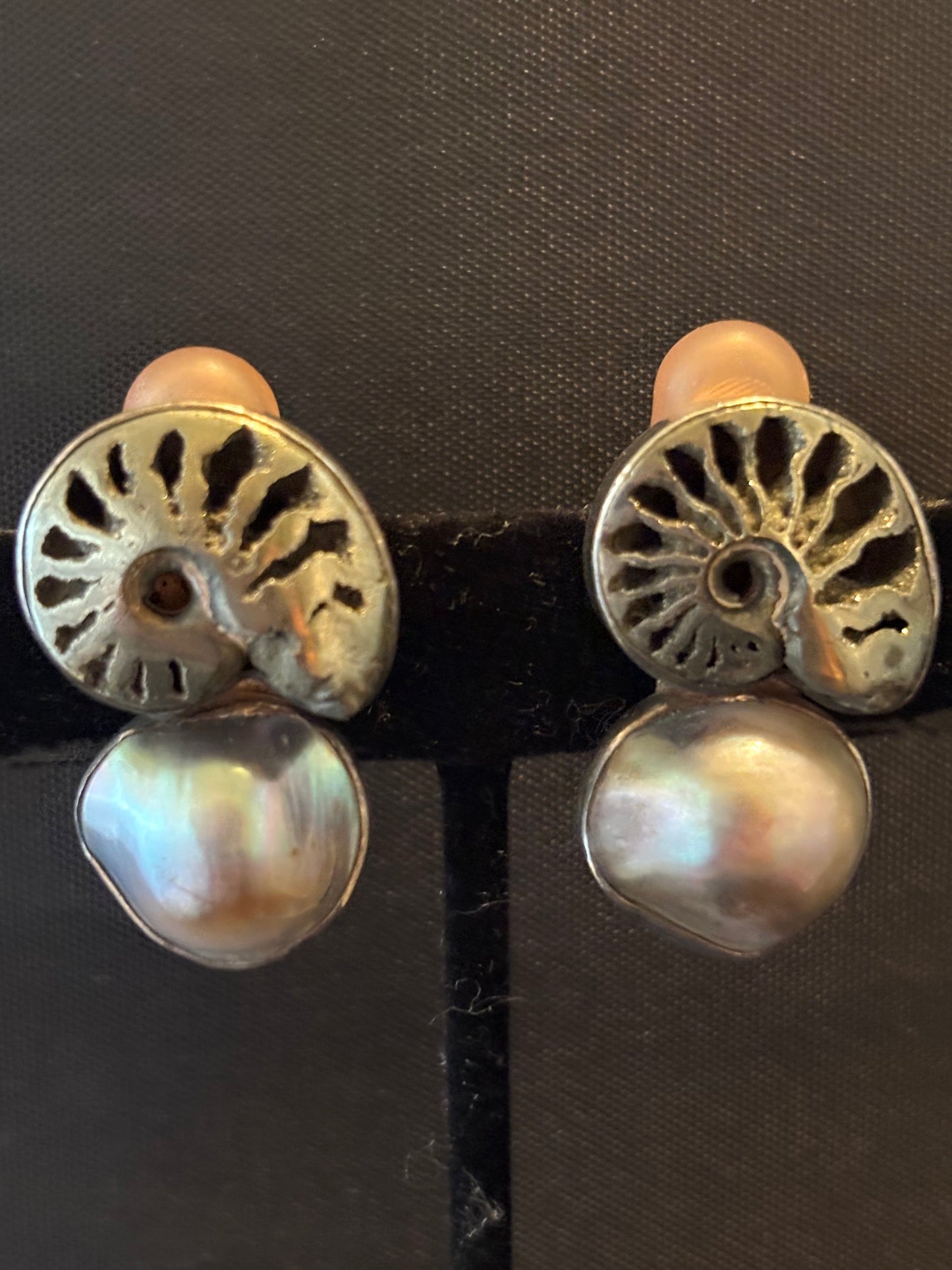 Pyrited Ammonite, Pearl
