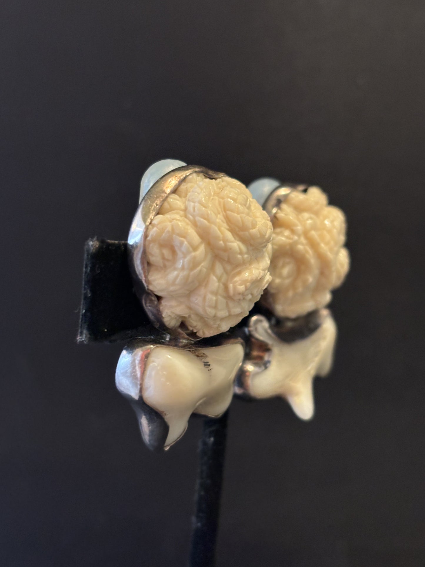 Carved Bone, Branch Coral