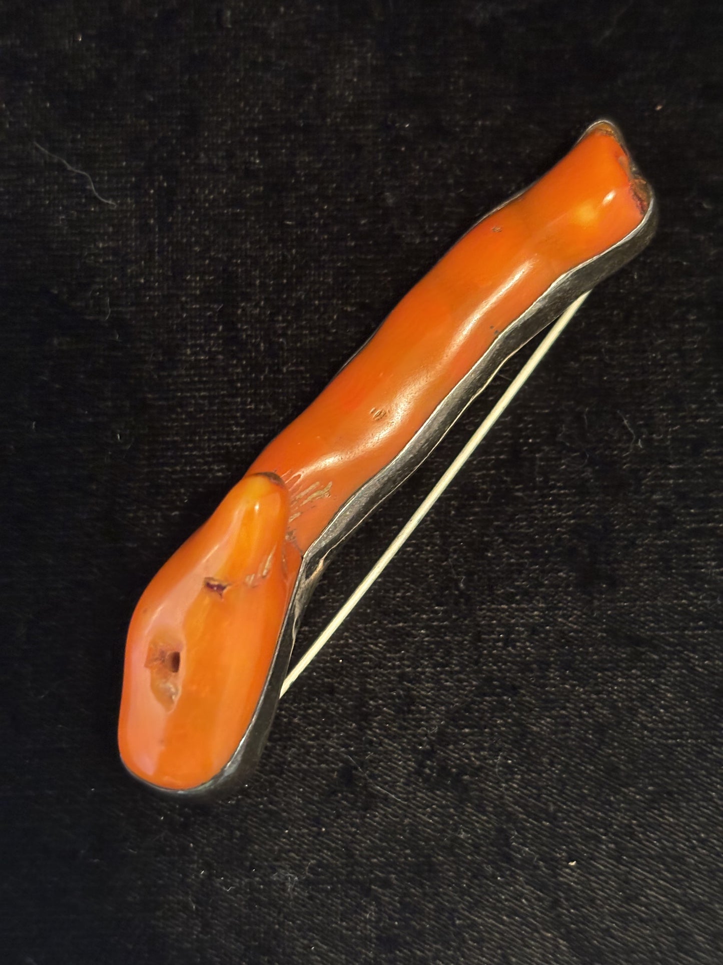 Orange Branch Coral